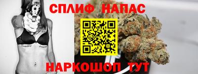 МДПВ Рузаевка