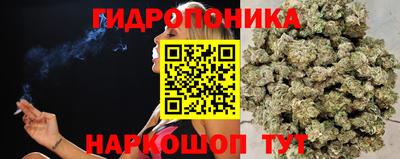 гашик Рязань