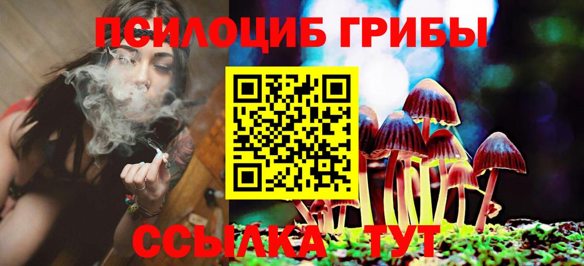 Галлюциногенные грибы мицелий  Вход с VPN  Азнакаево 